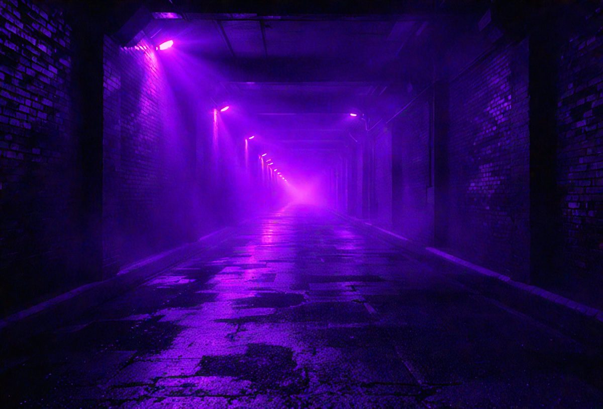 freepik__background-of-an-empty-dark-violet-corridor-with-b__50669_251016143014_00001.png