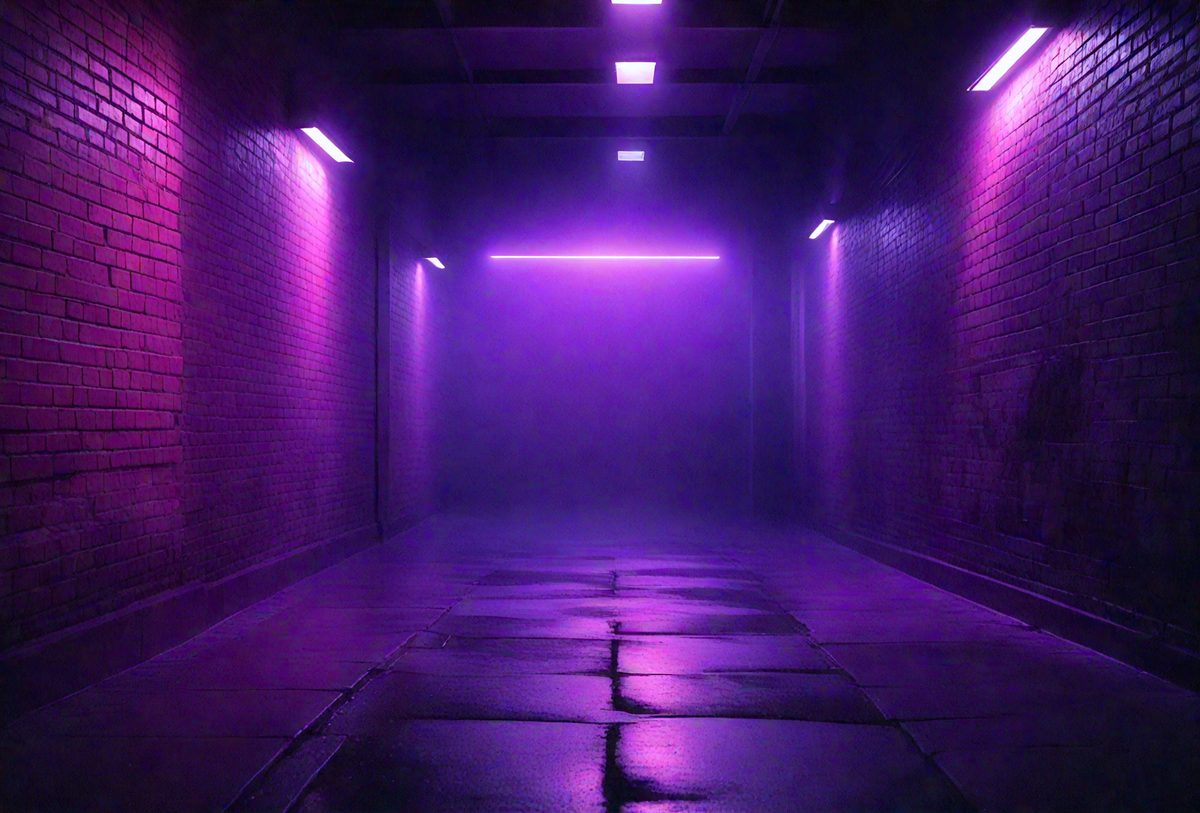 freepik__background-of-an-empty-dark-violet-corridor-with-b__50670_251016143019_00001.png