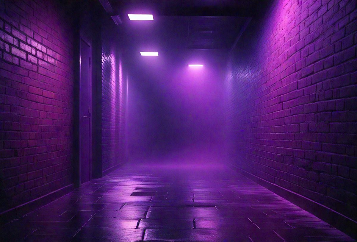 freepik__background-of-an-empty-dark-violet-corridor-with-b__50673_251016143038_00001.png