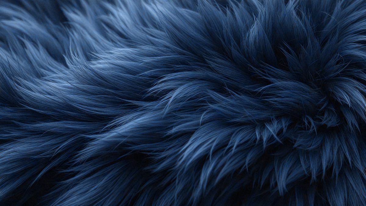 freepik__background-of-dark-slate-blue-fur__34599_251011165655_00001.png