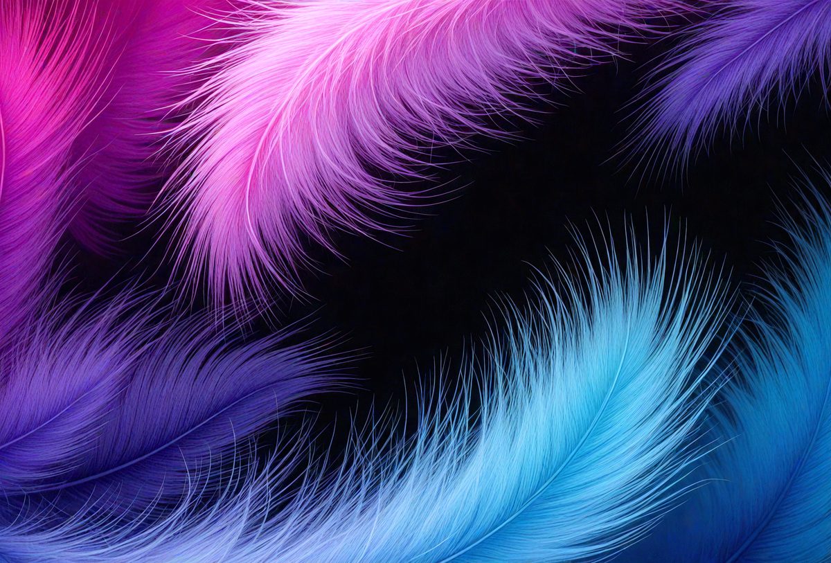freepik__beautiful-abstract-pink-and-dark-violet-feathers-o__35305_251016143440_00001.png