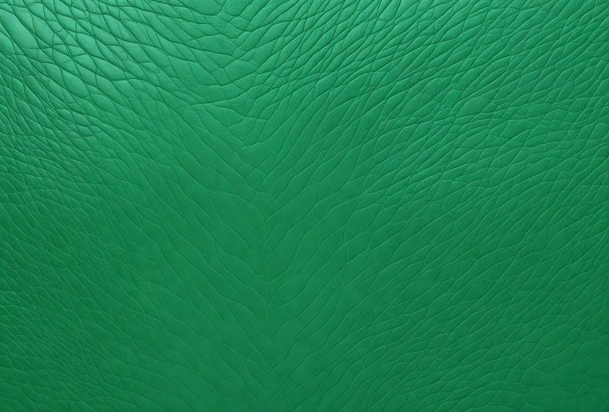 freepik__beautiful-abstract-texture-detail-background-of-gr__101675_250506231652_Green_00001.png