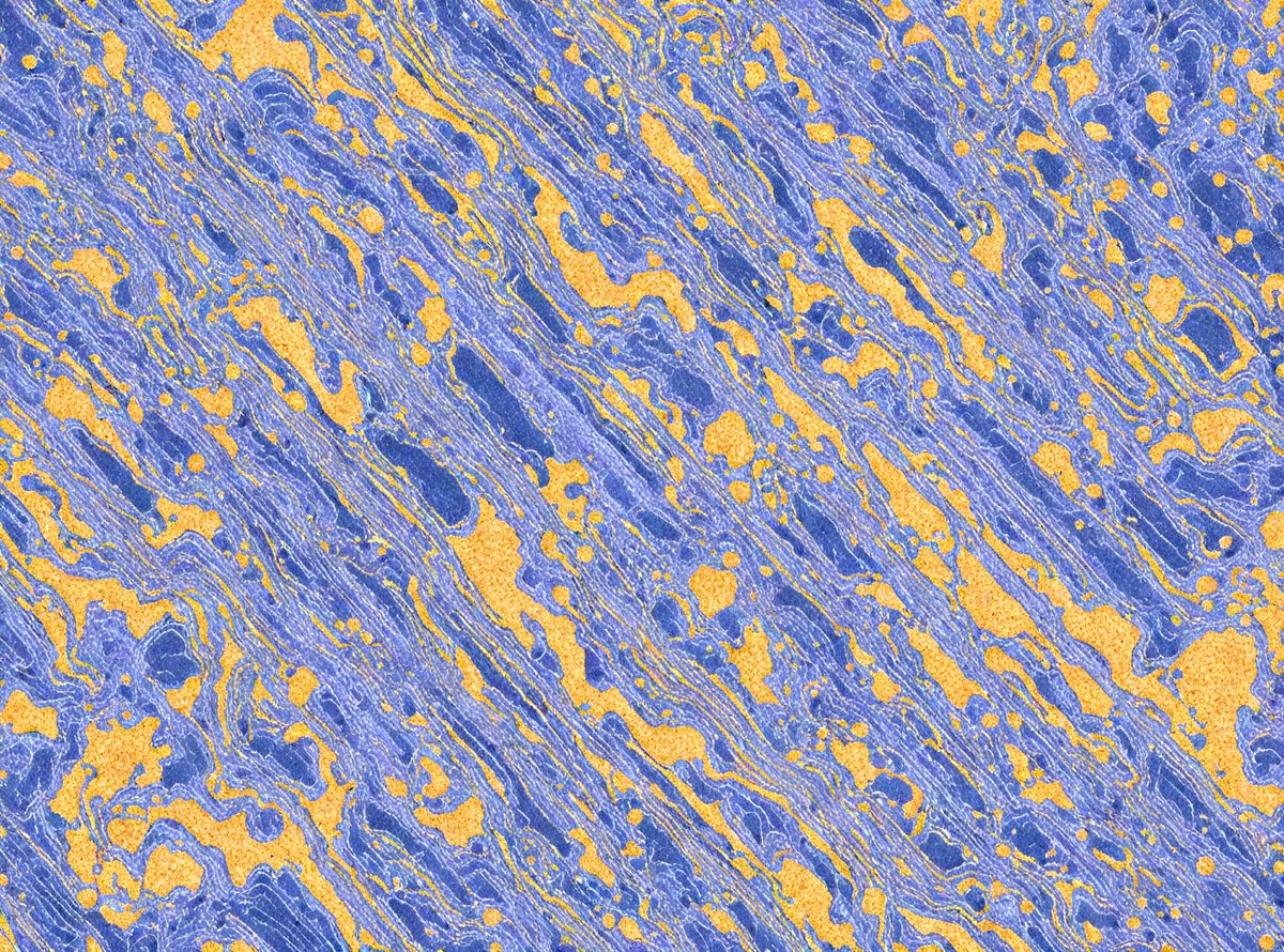 freepik__blue-blue-marble-blur-abstract-background__19851_250609182914_blue_00001.png