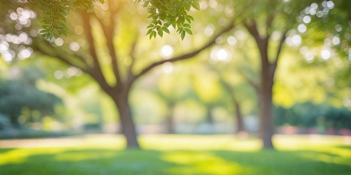 freepik__blur-defocused-park-garden-tree-in-nature-backgrou__32828_250506233758_Green_00001.png