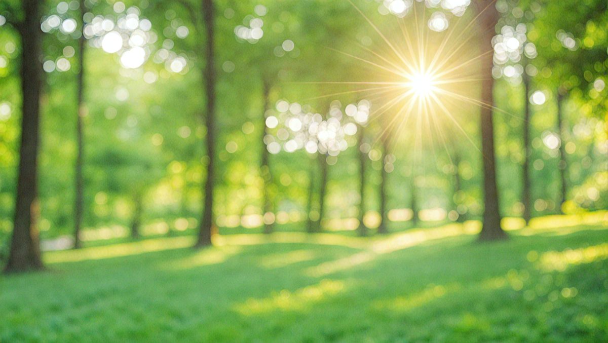 freepik__blur-nature-green-park-with-sun-light-abstract-bac__62360_250506233934_Green_00001.png