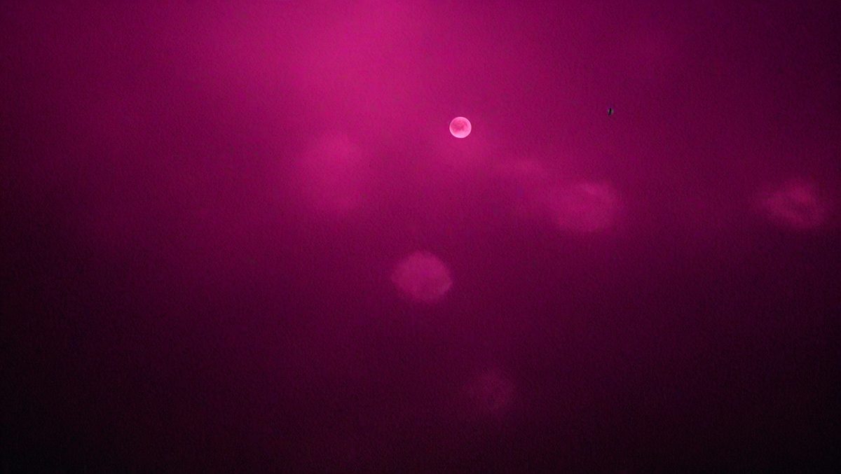 freepik__blurred-out-of-focus-burgundy-dark-violet-backgrou__64409_251016144959_00001.png