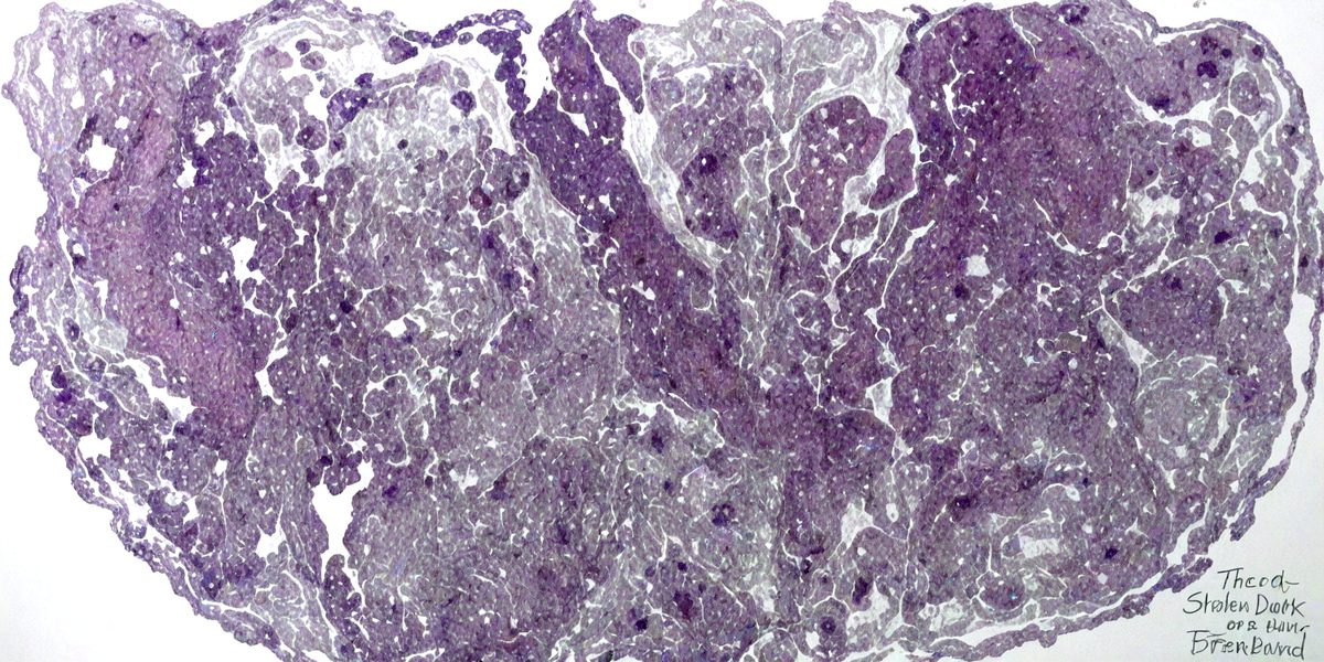 freepik__bright-dark-violet-developing-tissue__87391_251016145355_00001.png