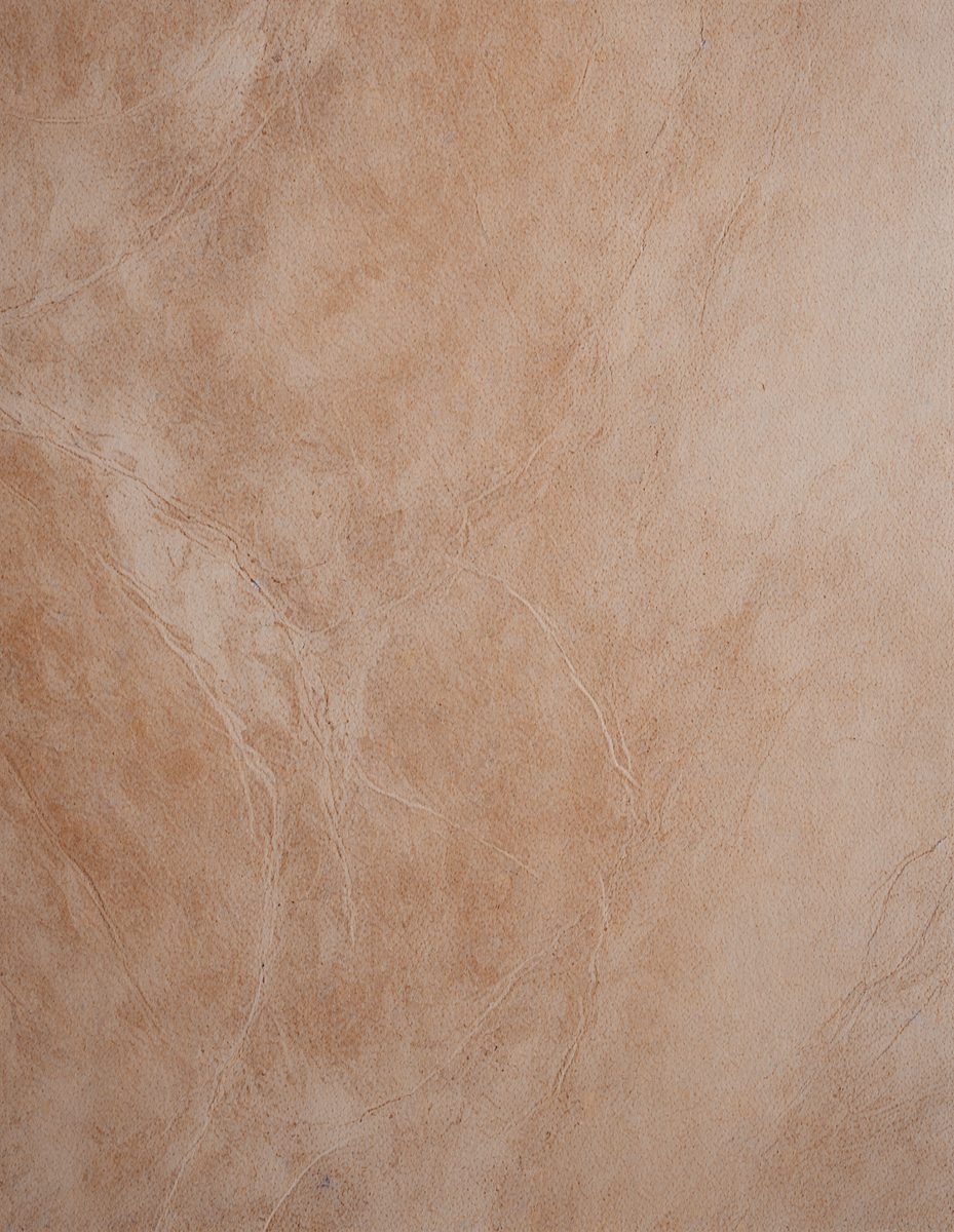 freepik__burly-wood-marble-color-color-concrete-background-__81423_250924210644_00001.png