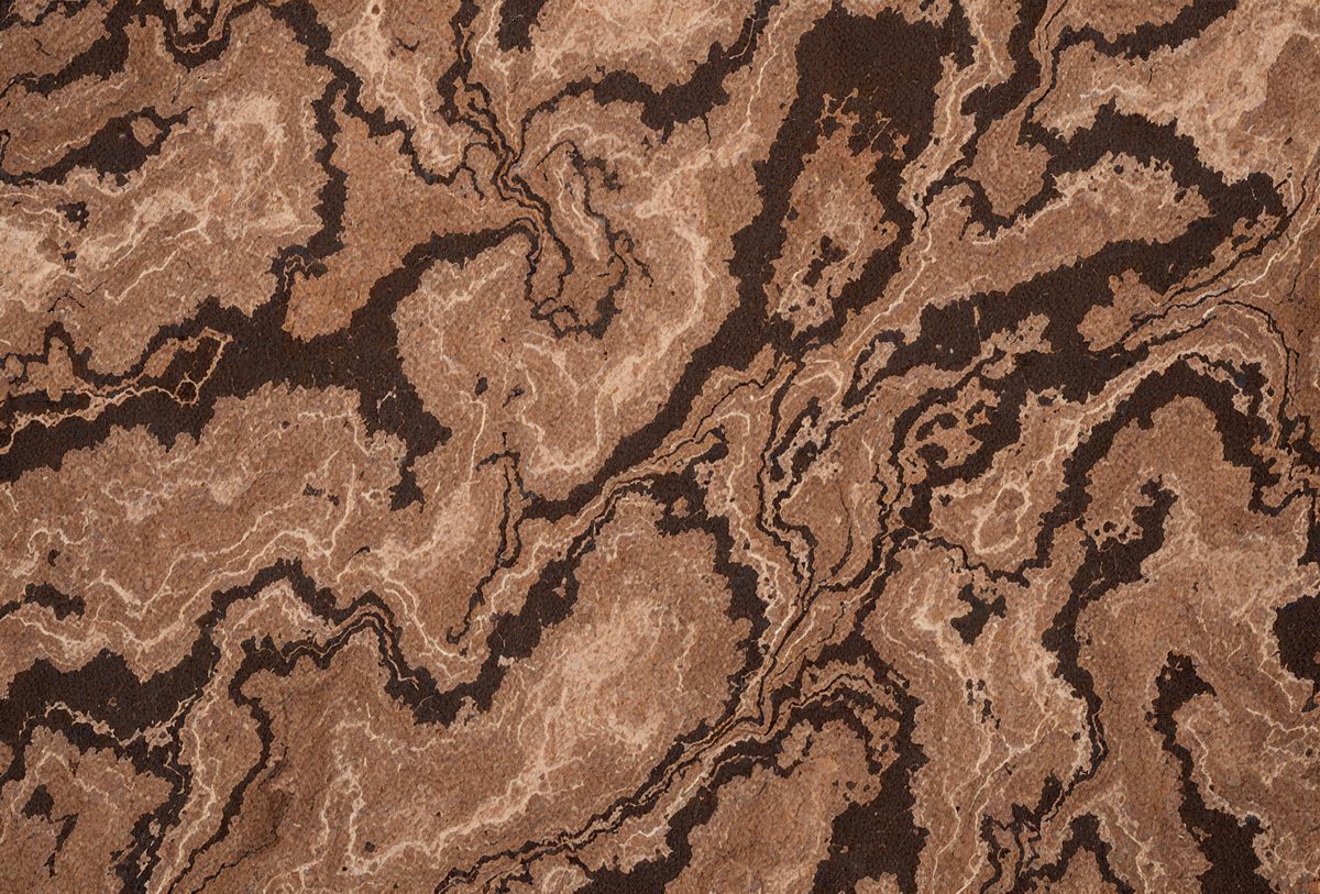 freepik__burly-wood-marble-color-color-snakeskin-texture-fo__81263_250924212255_00001.png