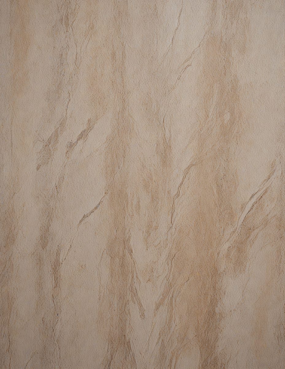 freepik__burly-wood-marble-color-color-textured-concrete-wa__81384_250924212505_00001.png