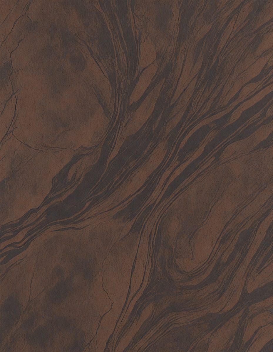 freepik__burly-wood-marble-color-luxury-leather-finish-with__91692_250922164912_00001.png
