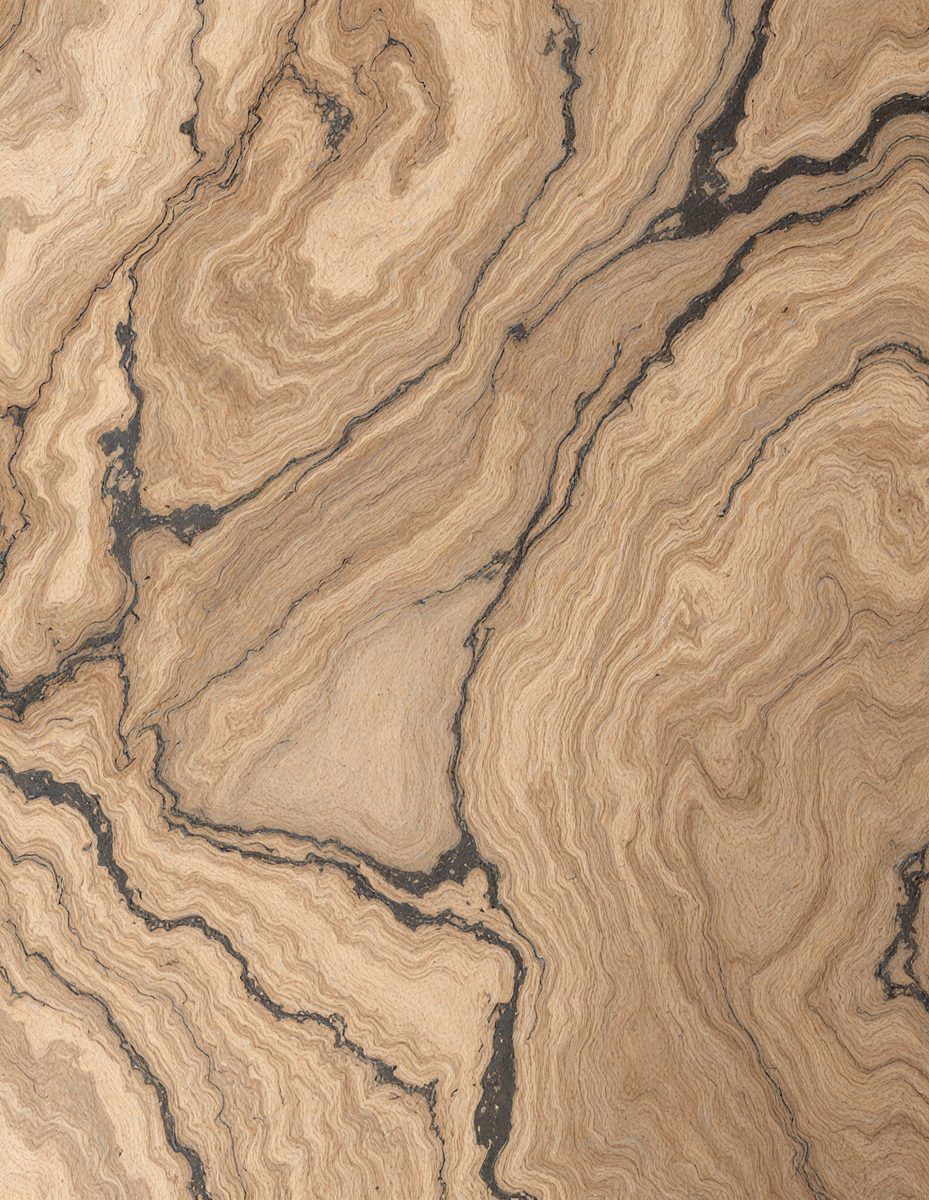freepik__burly-wood-marble-color-organic-wood-texture-with-__79884_250922175231_00001.png