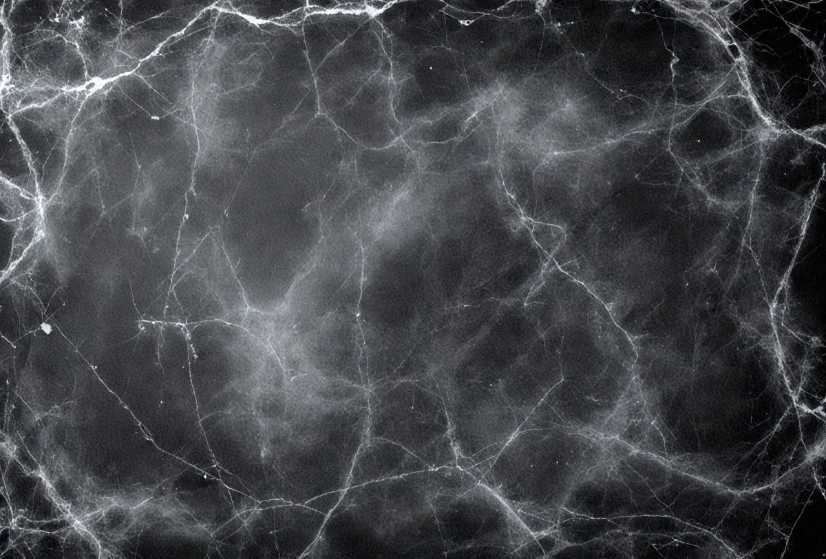 freepik__chalk-ivory-marble-color-color-board-blackboard-ch__10660_251103163820_00001.png