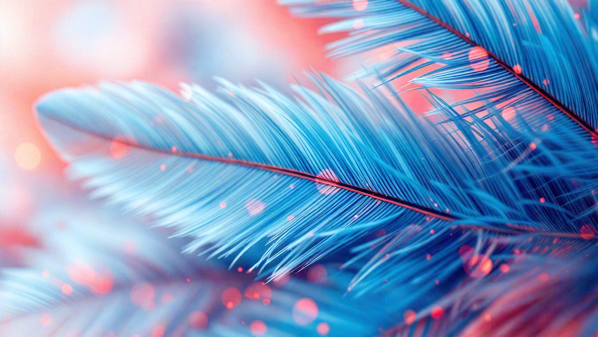 freepik__closeup-of-coral-cadet-blue-feathers-with-a-vintag__24951_250923215419_00001.png
