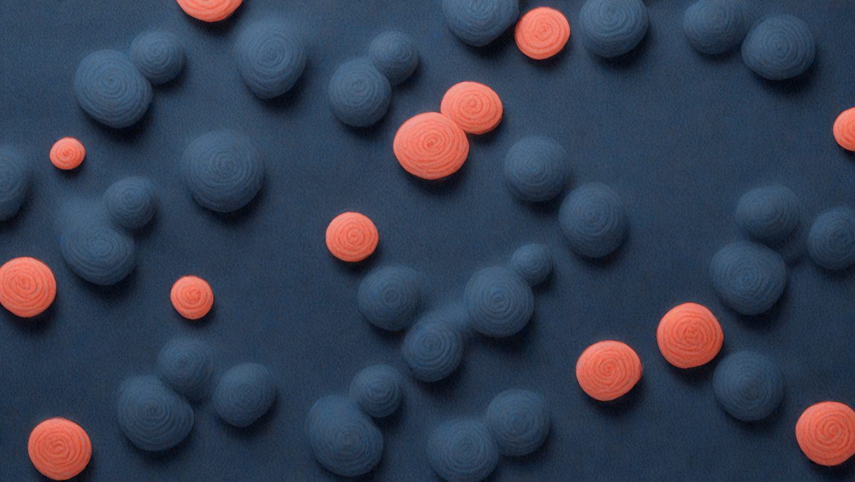 freepik__coral-dark-slate-blue-felt-texture-abstract-art-ba__99782_251012082218_00001.png