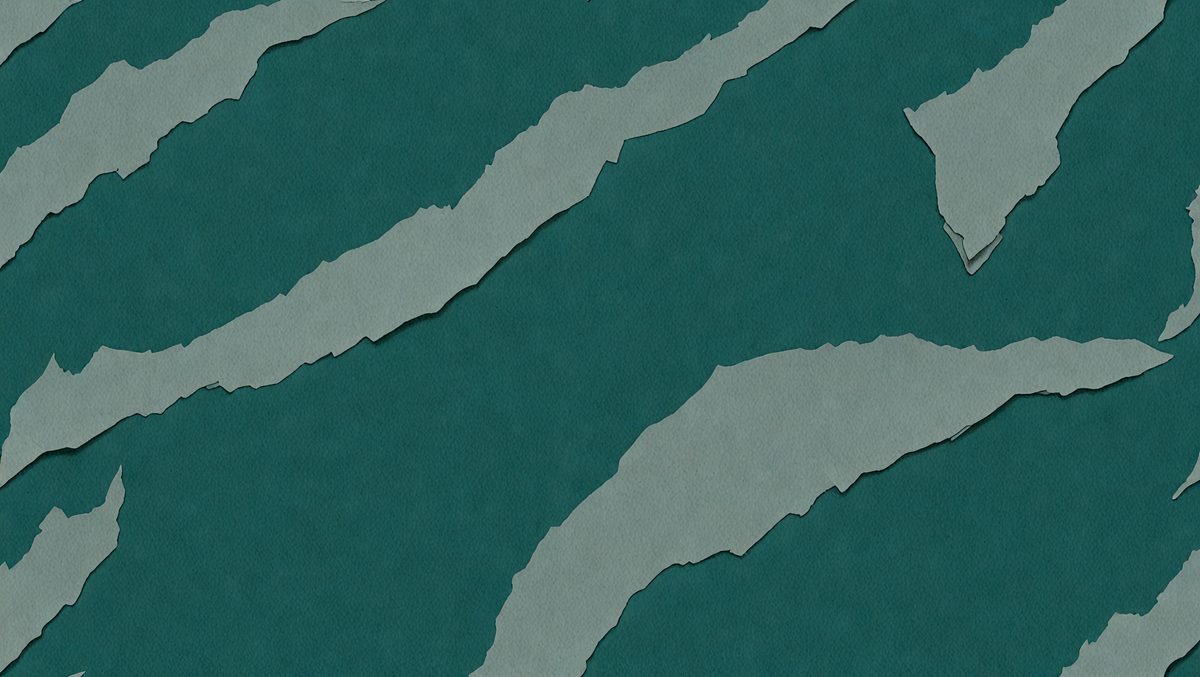 freepik__dark-green-paper-texture-deep-teal-and-light-grey-__100790_250507070751_Green_00001.png