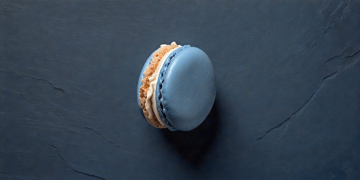 freepik__dark-slate-blue-french-macaroon-in-center-on-dark-__35468_251012091743_00001.png