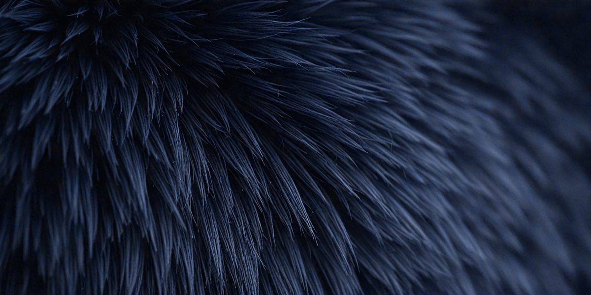freepik__dark-slate-blue-fur-texture-close-up-dark-slate-bl__35767_251012091850_00001.png