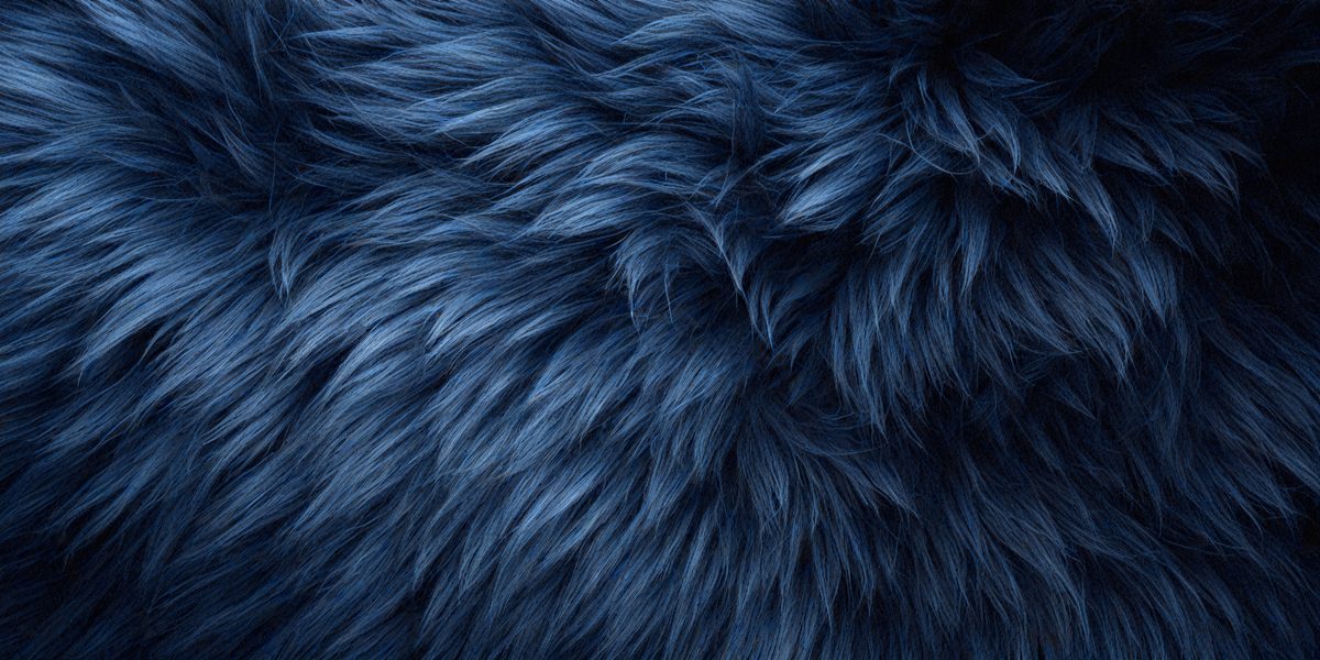 freepik__dark-slate-blue-fur-texture-close-up-dark-slate-bl__35769_251012091859_00001.png