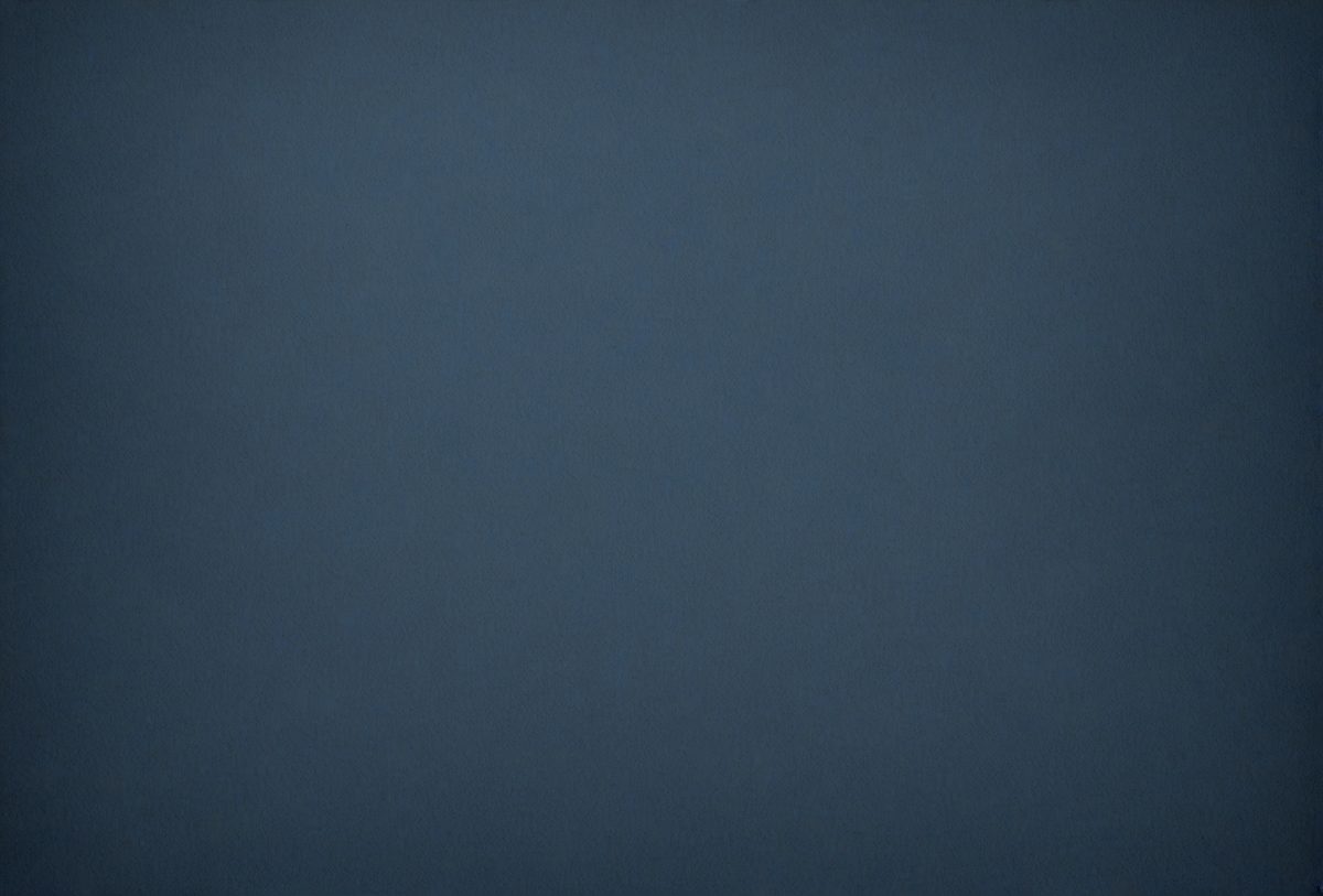freepik__dark-slate-blue-or-dark-slate-blue-rose-color-pape__99279_251012162256_00001.png