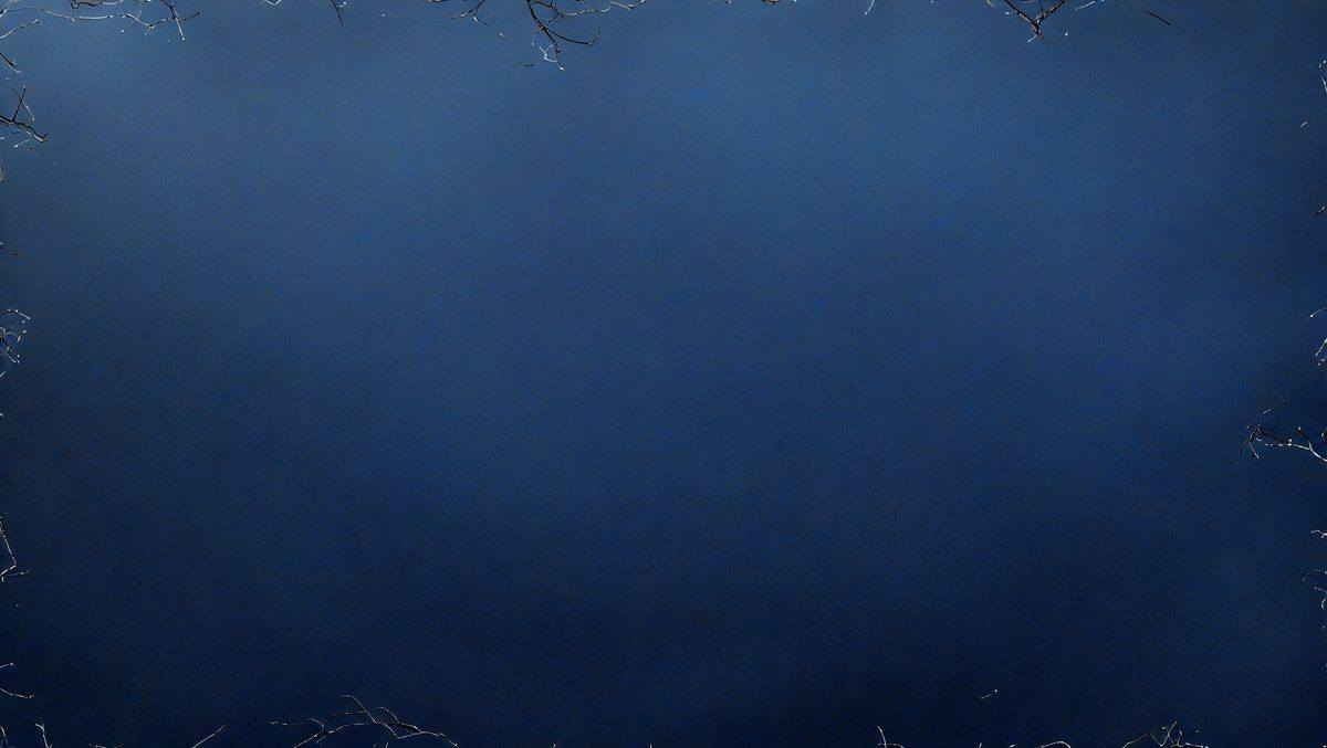 freepik__dark-slate-blue-painting-background-with-copy-spac__35628_251012162631_00001.png