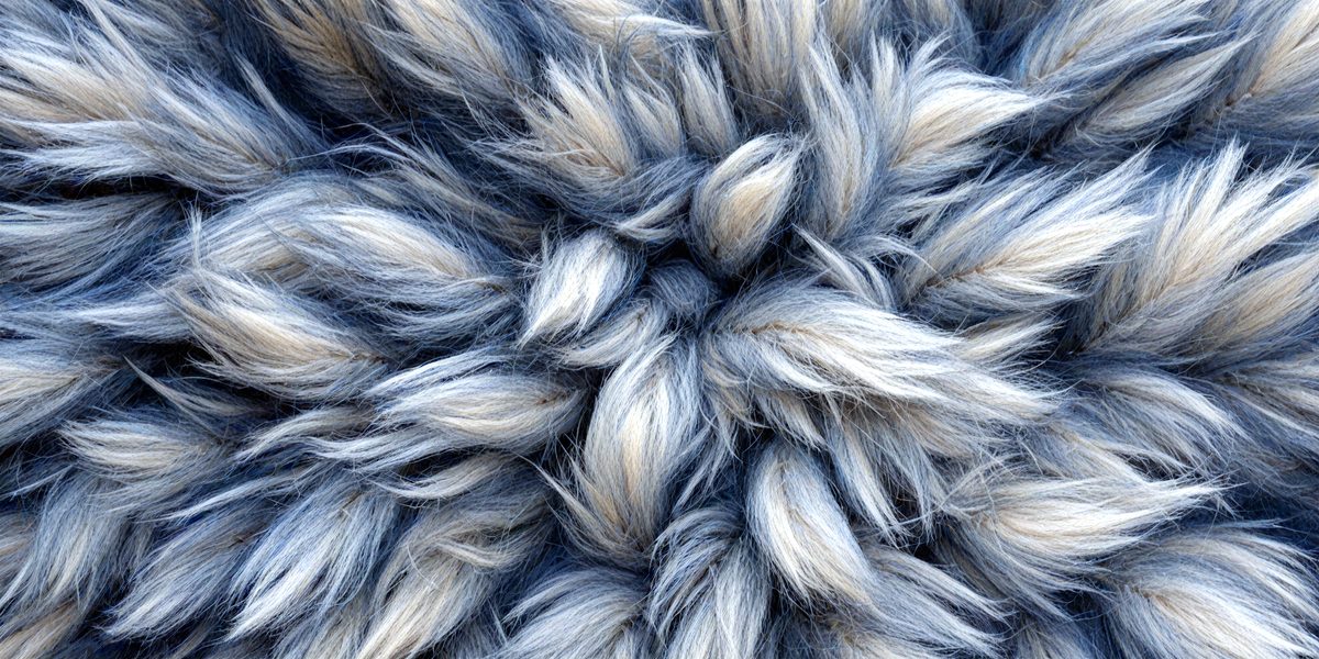freepik__dark-slate-blue-sheep-fur-natural-sheepskin-dark-s__35731_251012165704_00001.png