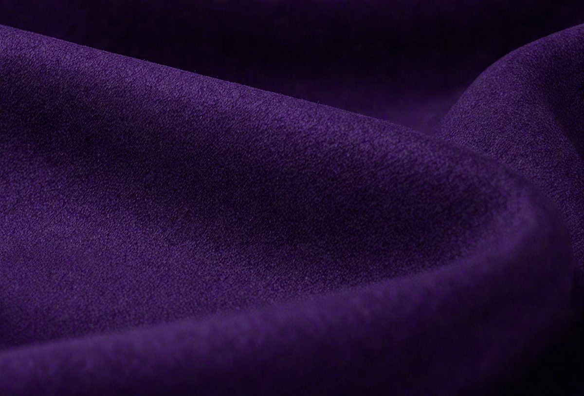 freepik__dark-violet-matt-suede-fabric-closeup-velvet-textu__88136_251016231322_00001.png