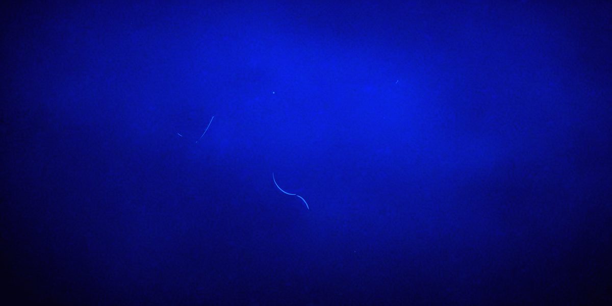 freepik__deep-blue-sky-color-background__17703_251019152435_00001.png