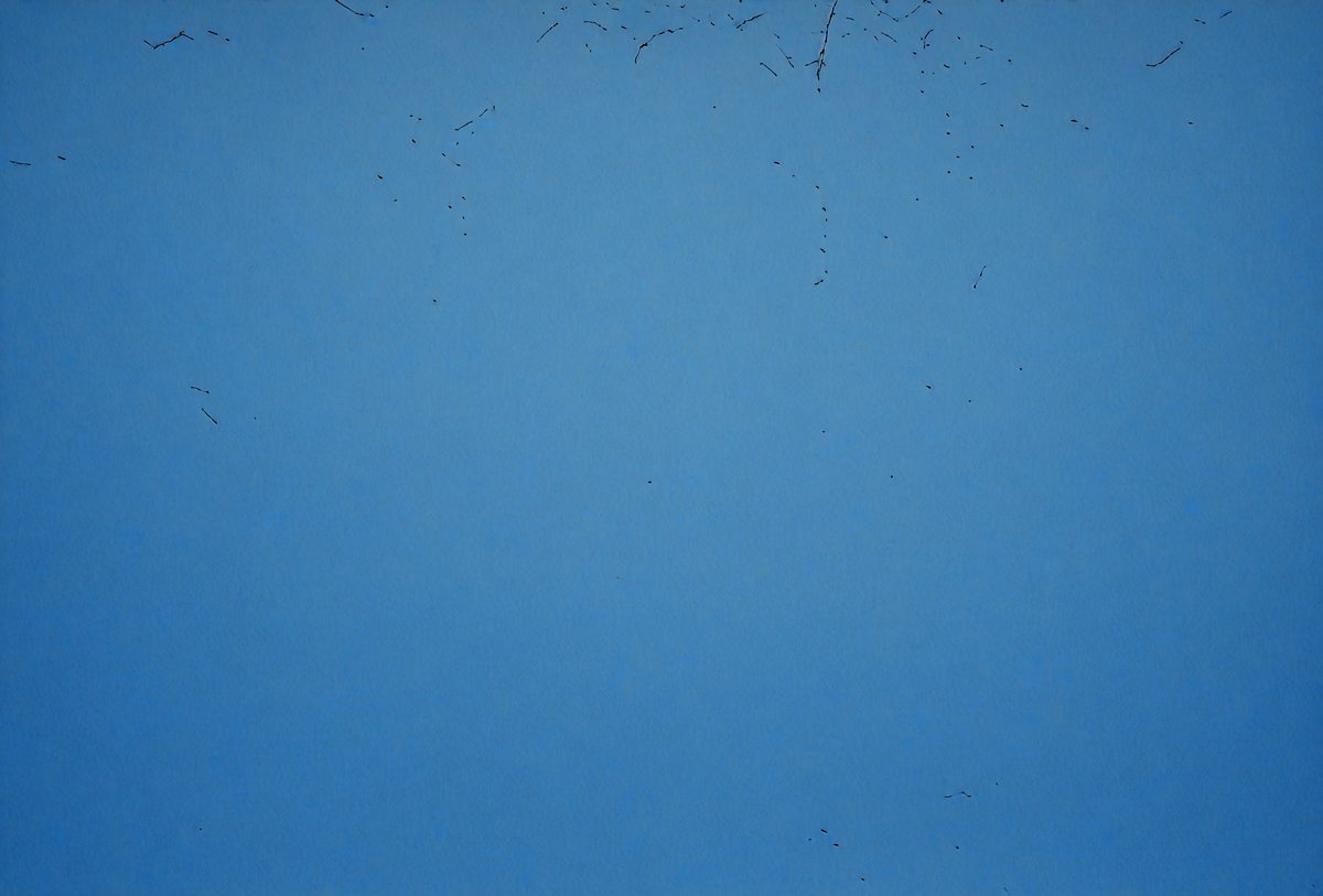 freepik__deep-blue-sky-color-concrete-wall-texture-and-back__30359_251019153655_00001.png