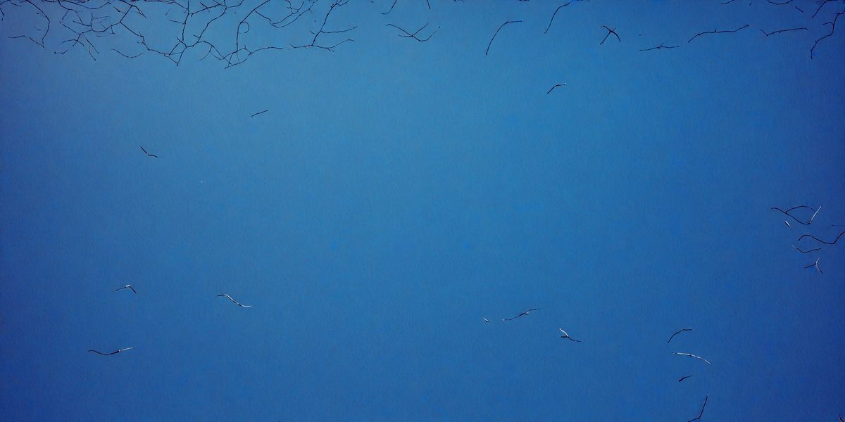 freepik__deep-blue-sky-color-painted-wall-texture-or-backgr__30619_251019160129_00001.png