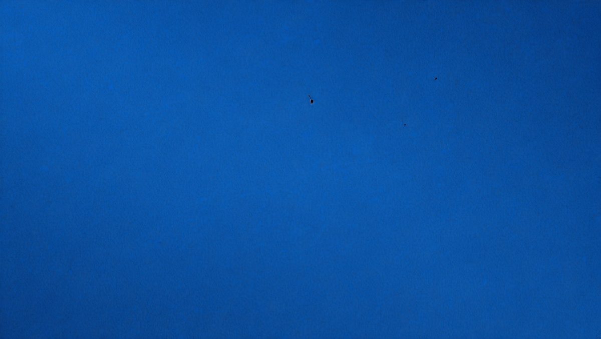 freepik__deep-blue-sky-color-paper-texture-pattern-backgrou__17379_251019160908_00001.png