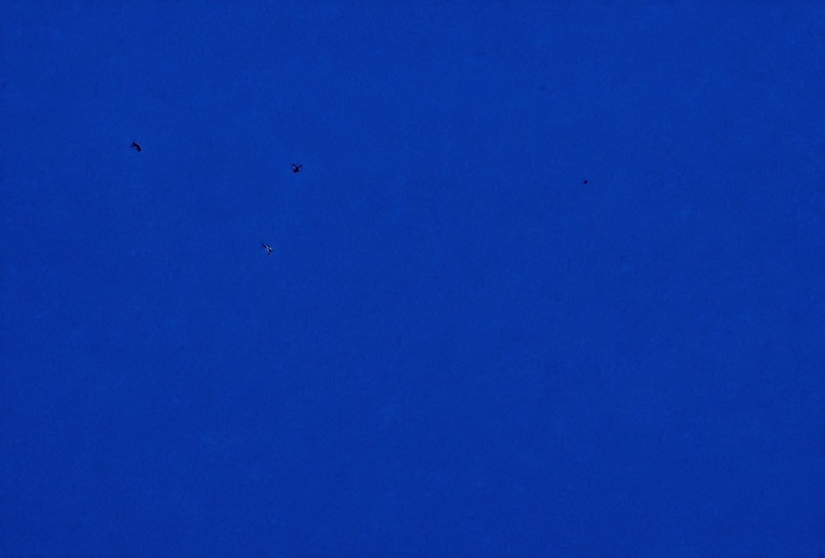 freepik__deep-blue-sky-color-plastered-wall-background__17626_251019161156_00001.png