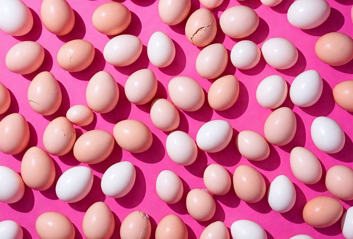 freepik__digital-painting-broken-chicken-eggs-arranged-in-n__60414_250513050252_pink_00001.png