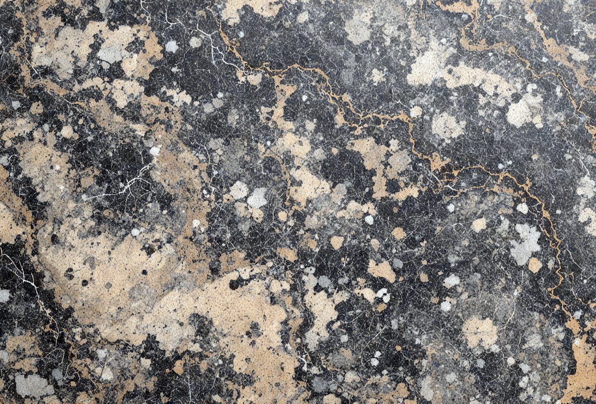 freepik__grain-dark-ivory-marble-color-paint-wall-or-ivory-__6458_251103170030_00001.png