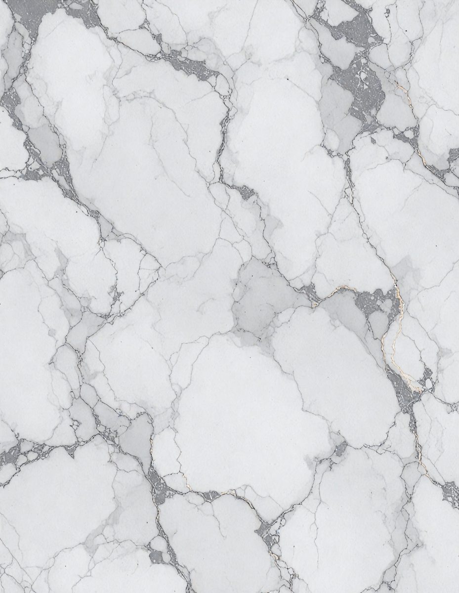 freepik__gray-ivory-marble-color-silver-abstract-vector-bac__11440_251104004456_00001.png
