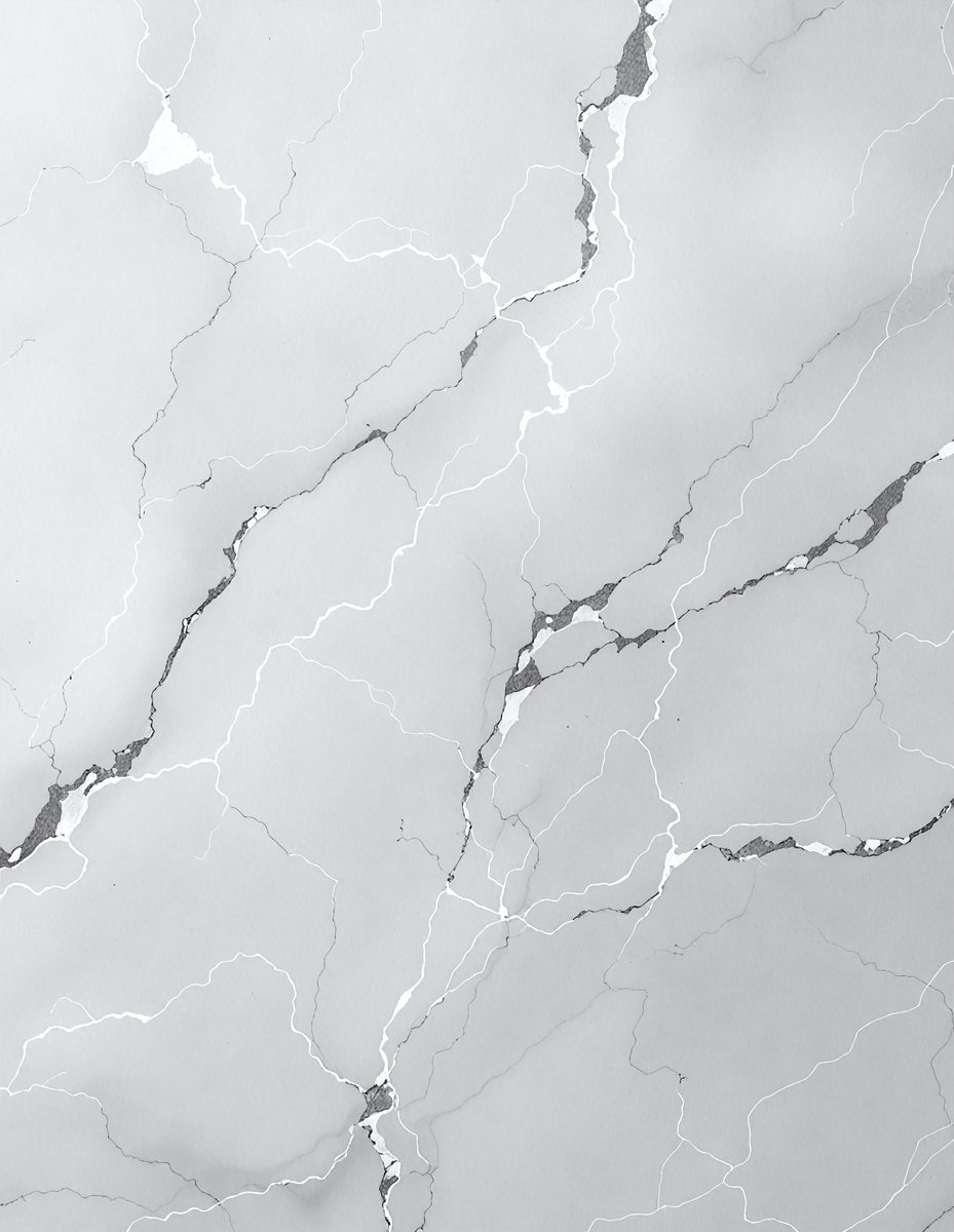 freepik__gray-ivory-marble-color-silver-abstract-vector-bac__11441_251104004500_00001.png