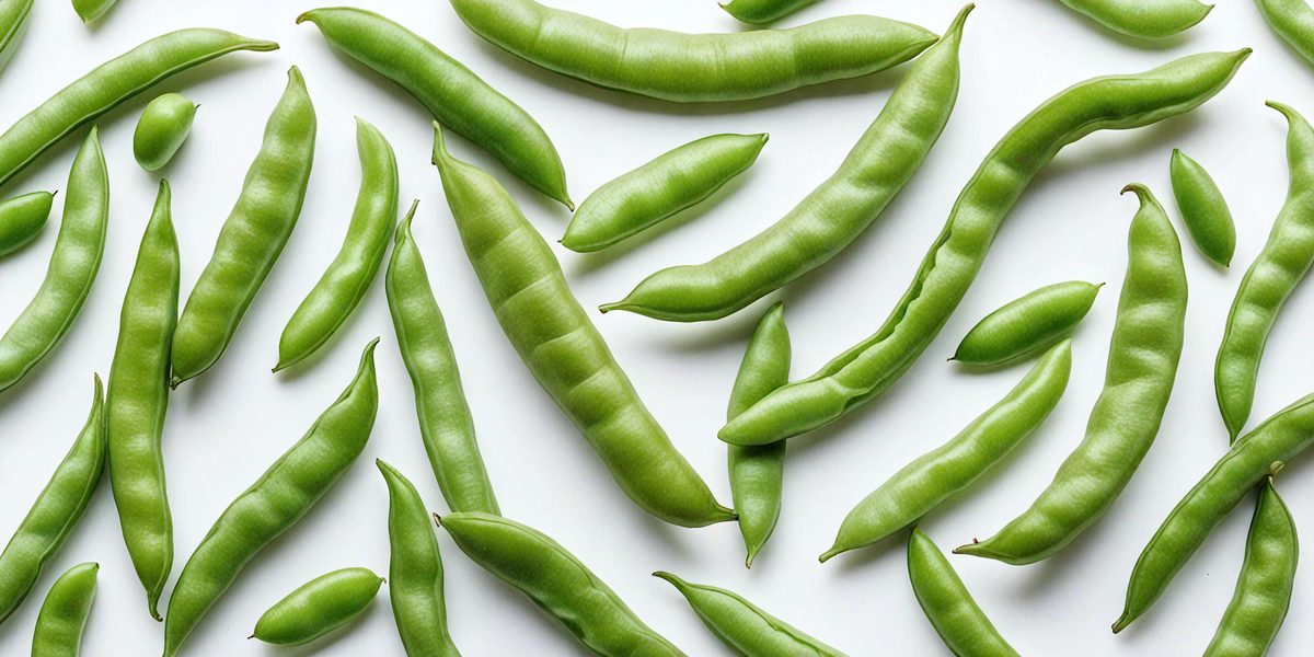 freepik__green-beans-on-white-background-vibrant-color-pale__73423_250507182414_Green_00001.png