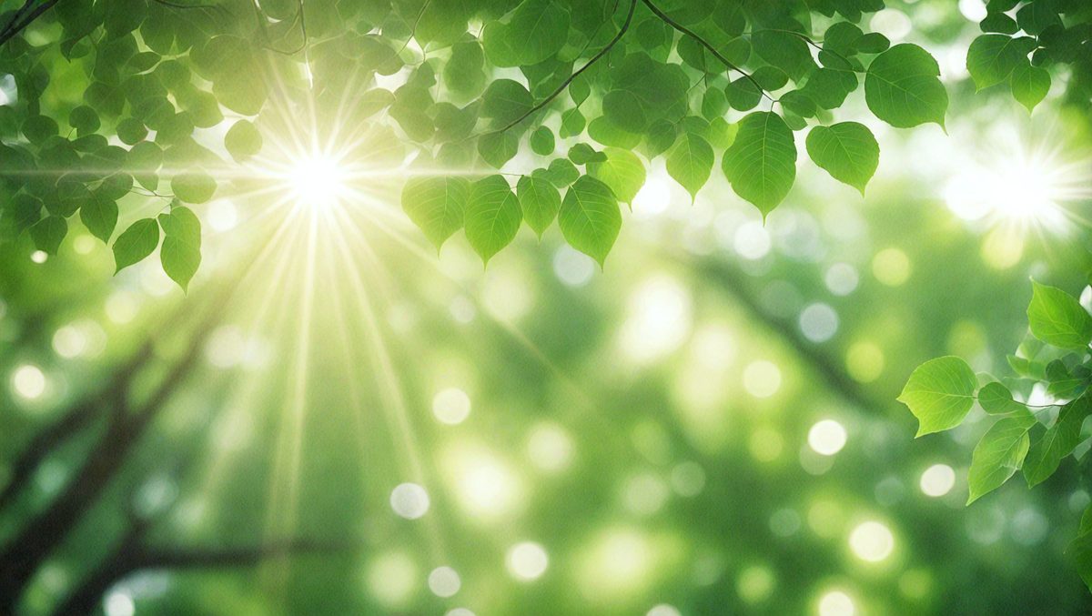 freepik__green-bokeh-abstract-background-blurred-green-leav__27656_250507214239_Green_00001.png