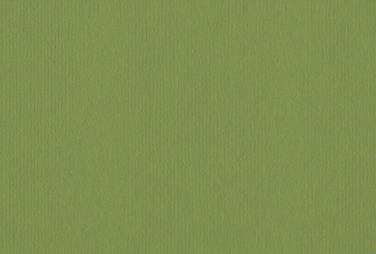 freepik__green-cardboard__27748_250507214816_Green_00001.png