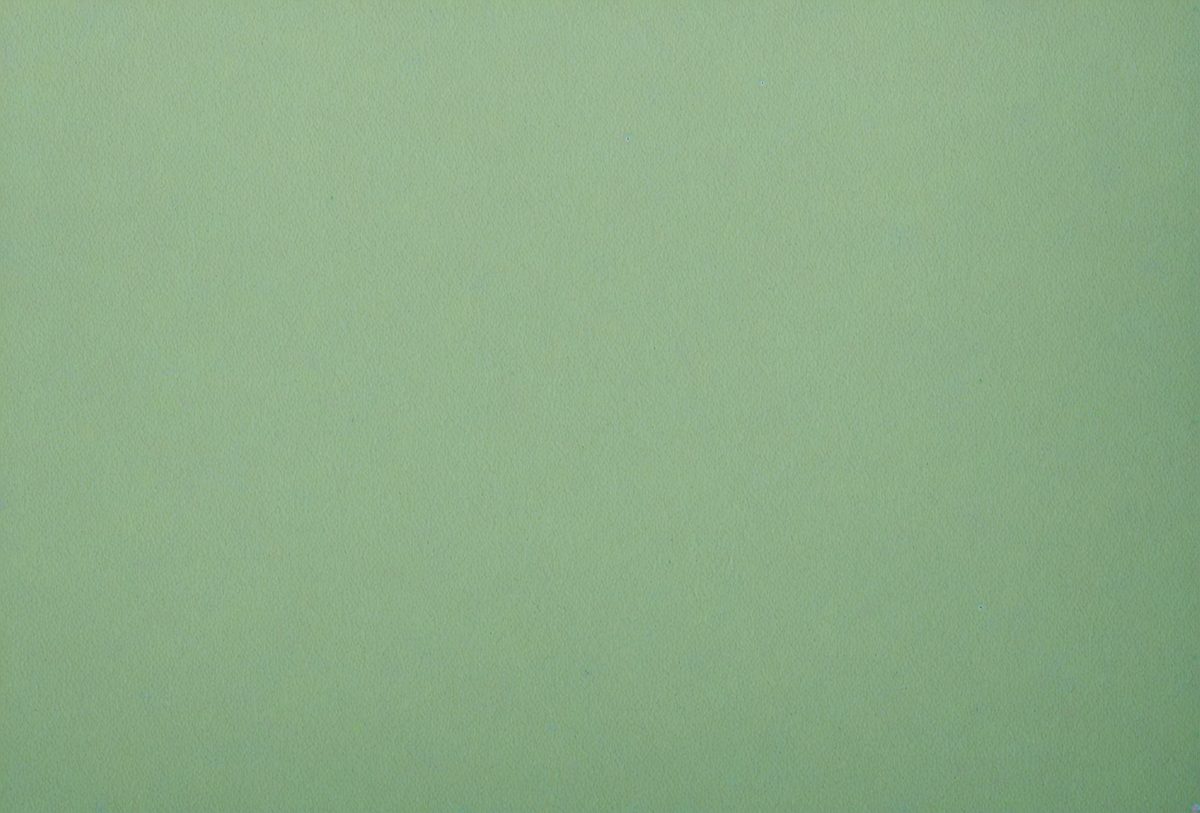 freepik__green-paper-texture-sophisticated-mutedgreen-color__74407_250508052009_Green_00001.png