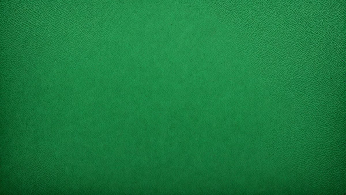 freepik__green-textured-leather-background-abstract-leather__102034_250508053857_Green_00001.png