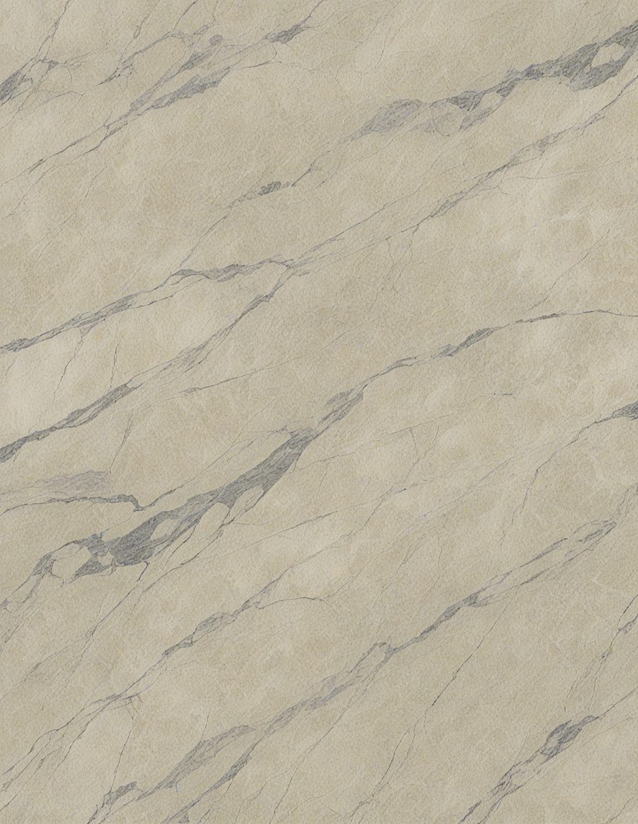 freepik__honey-dew-marble-canvaslike-elegance-with-carbon-f__2590_251101040009_00001.png