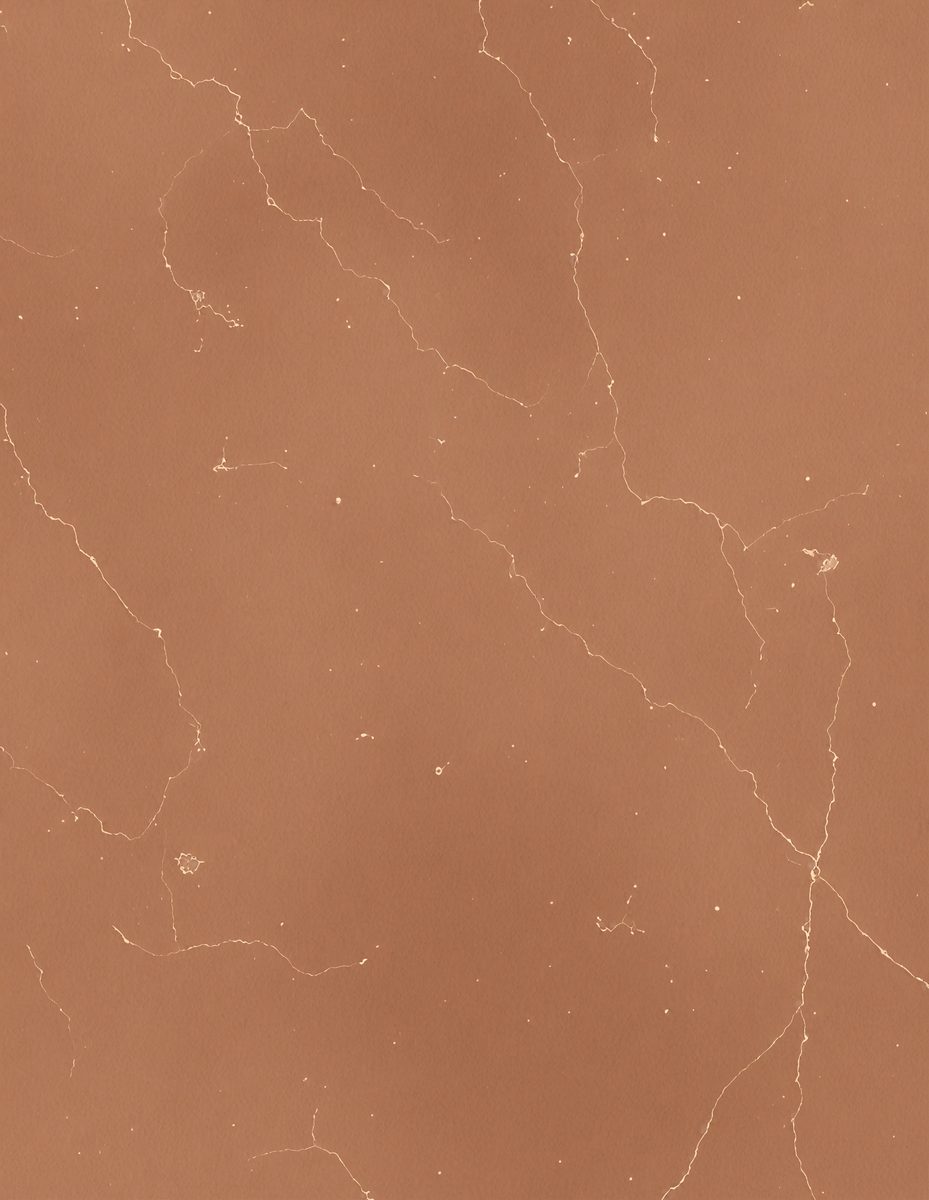 freepik__honey-dew-marble-color-grunge-textured-concrete-ba__2537_251101043914_00001.png