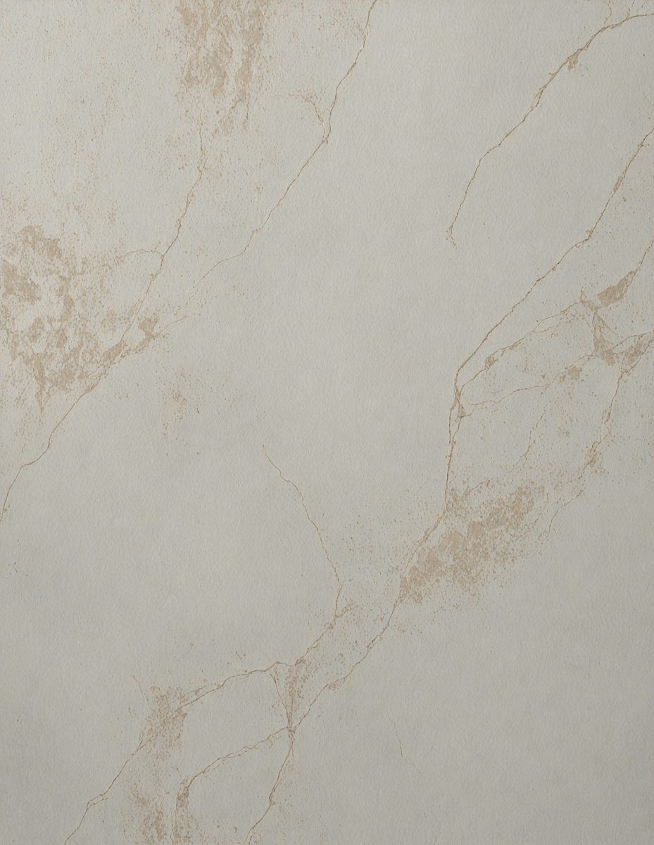 freepik__honey-dew-marble-modern-cement-texture-with-velvet__4450_251101224449_00001.png