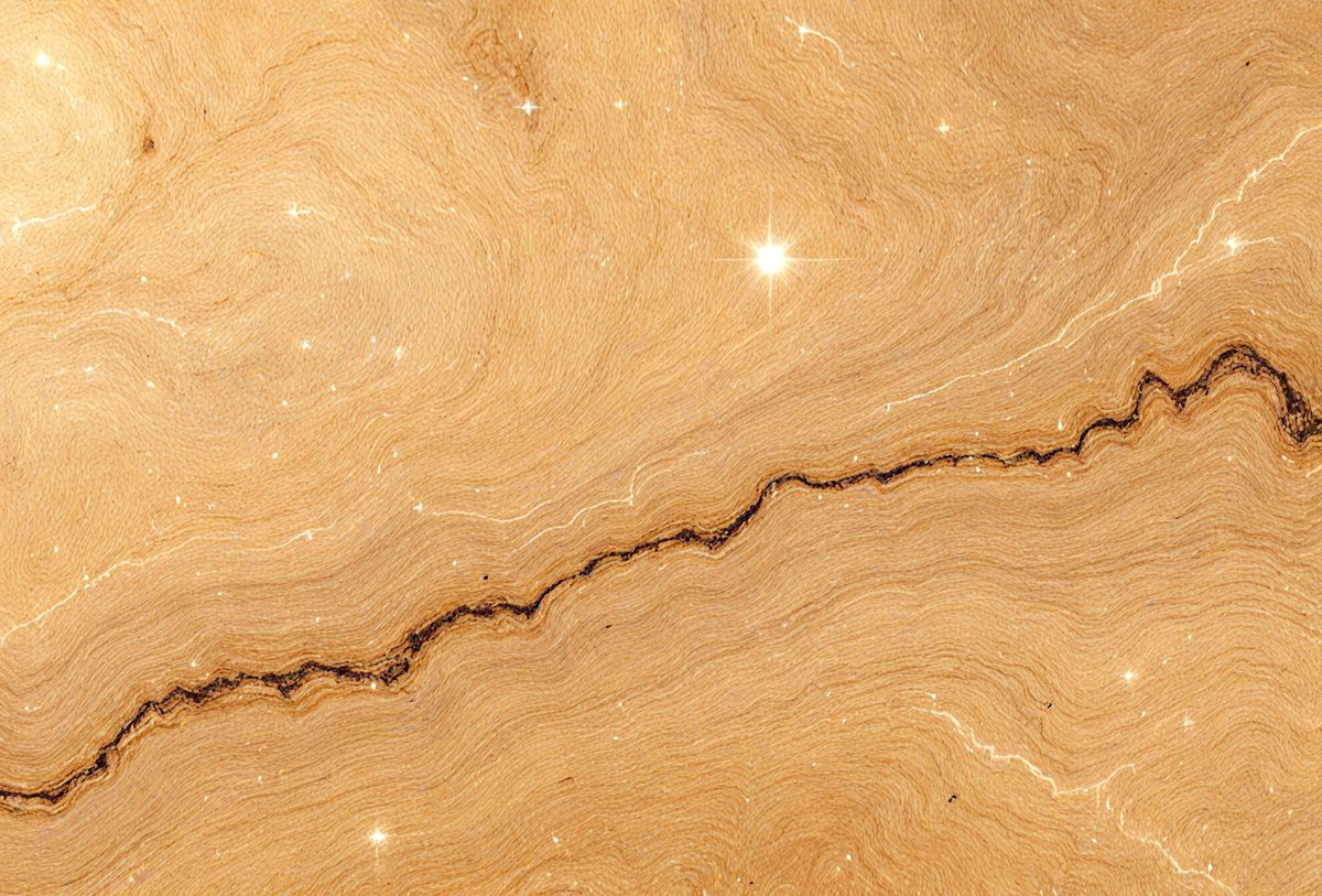 freepik__honey-dew-marble-organic-wood-texture-with-wood-gr__7993_251101225409_00001.png