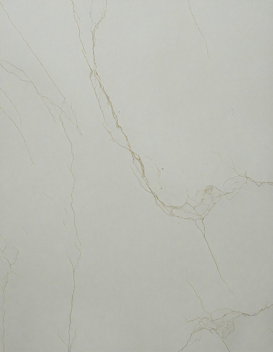 freepik__honey-dew-marble-the-background-and-texture-of-con__7946_251102083112_00001.png