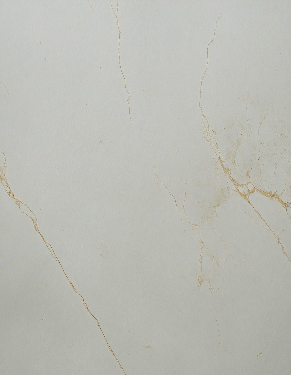 freepik__honey-dew-marble-the-background-and-texture-of-con__7948_251102083124_00001.png