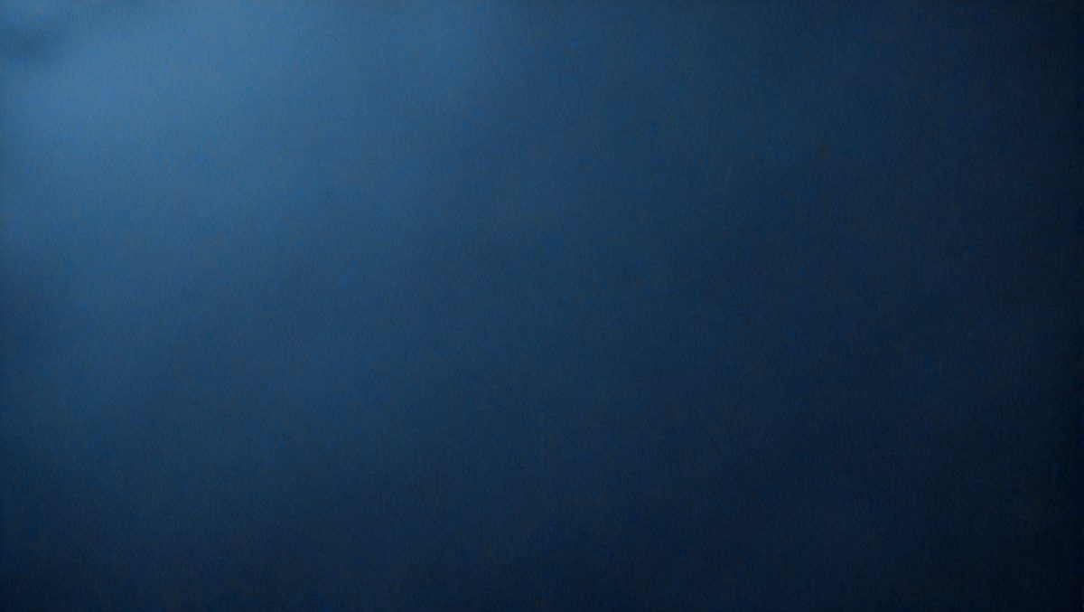 freepik__hot-dark-slate-blue-felt-texture-abstract-art-back__46354_251013004307_00001.png
