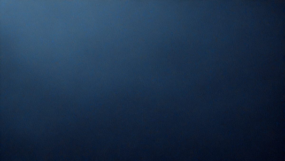 freepik__hot-dark-slate-blue-felt-texture-abstract-art-back__46355_251013004313_00001.png