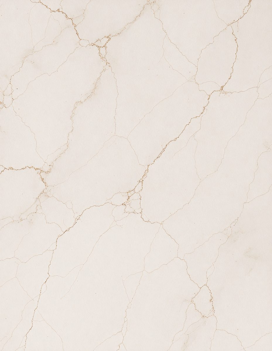 freepik__ivory-marble-color-chalkboard-rustic-charm-with-co__6199_251104020317_00001.png